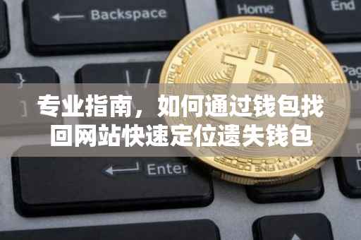 专业指南，如何通过钱包找回网站快速定位遗失钱包