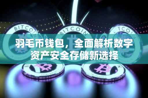 羽毛币钱包，全面解析数字资产安全存储新选择