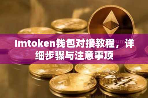 Imtoken钱包对接教程，详细步骤与注意事项