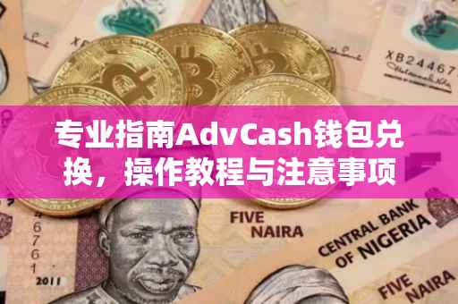 专业指南AdvCash钱包兑换，操作教程与注意事项
