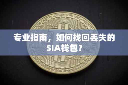 专业指南，如何找回丢失的SIA钱包？