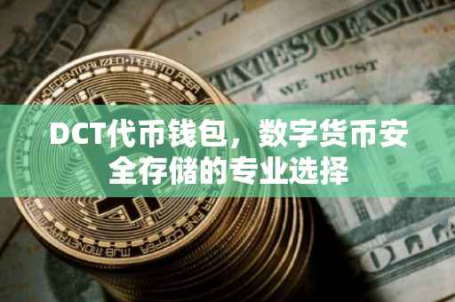 DCT代币钱包，数字货币安全存储的专业选择