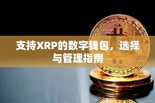 支持XRP的数字钱包，选择与管理指南