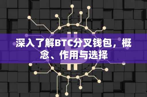 深入了解BTC分叉钱包，概念、作用与选择