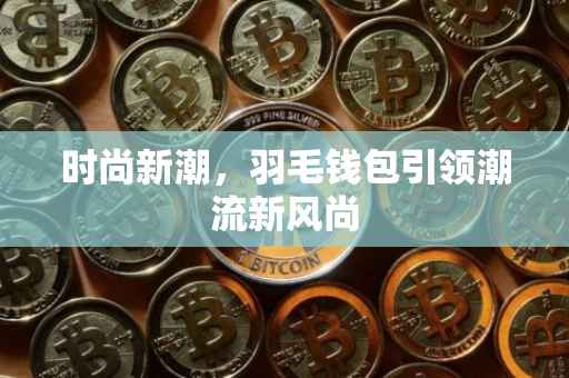 时尚新潮，羽毛钱包引领潮流新风尚