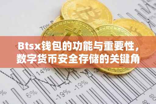 Btsx钱包的功能与重要性,数字货币安全存储的关键角色