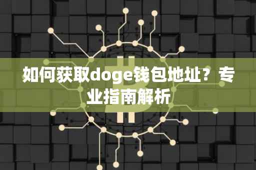 如何获取doge钱包地址？专业指南解析