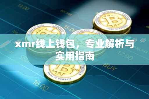 xmr线上钱包，专业解析与实用指南