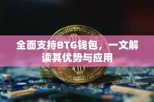全面支持BTG钱包，一文解读其优势与应用