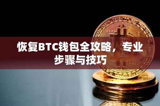 恢复BTC钱包全攻略，专业步骤与技巧
