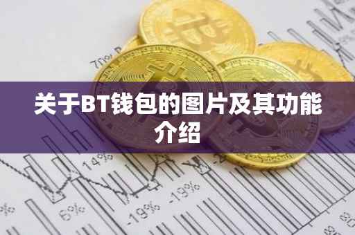 关于BT钱包的图片及其功能介绍