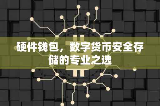 硬件钱包，数字货币安全存储的专业之选