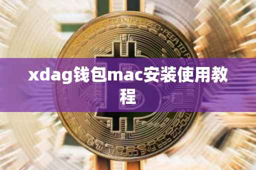 xdag钱包mac安装使用教程