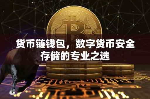 货币链钱包，数字货币安全存储的专业之选