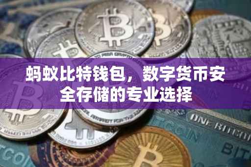 蚂蚁比特钱包，数字货币安全存储的专业选择