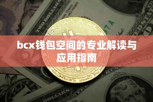 bcx钱包空间的专业解读与应用指南