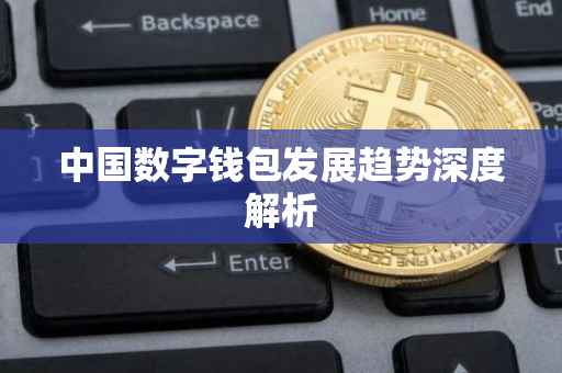 中国数字钱包发展趋势深度解析