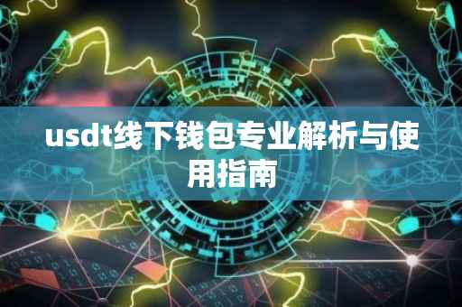 usdt线下钱包专业解析与使用指南