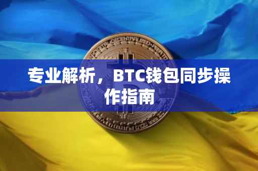 专业解析,BTC钱包同步操作指南