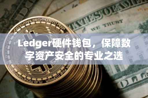 Ledger硬件钱包，保障数字资产安全的专业之选