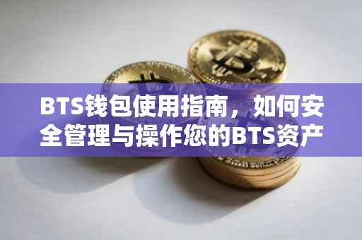 BTS钱包使用指南，如何安全管理与操作您的BTS资产