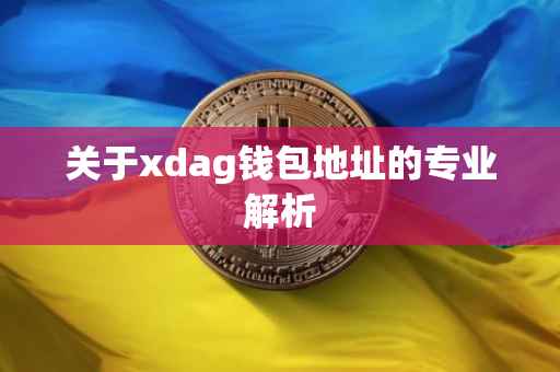 关于xdag钱包地址的专业解析
