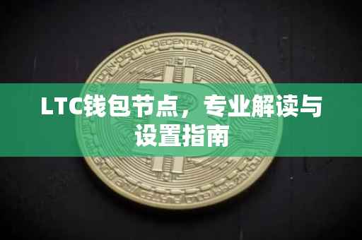 LTC钱包节点,专业解读与设置指南