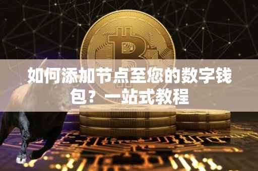 如何添加节点至您的数字钱包？一站式教程