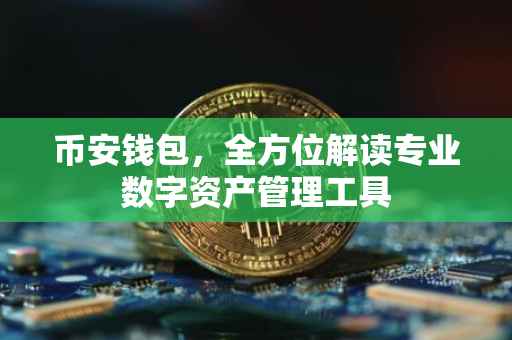 币安钱包，全方位解读专业数字资产管理工具