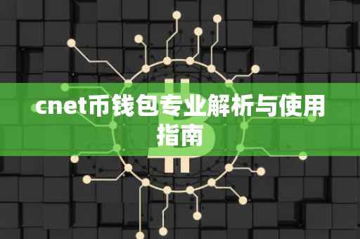 cnet币钱包专业解析与使用指南