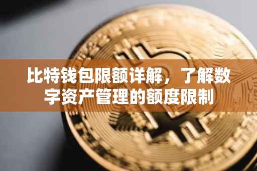 比特钱包限额详解，了解数字资产管理的额度限制