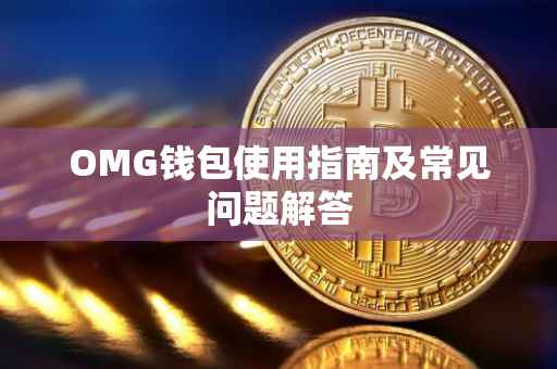 OMG钱包使用指南及常见问题解答