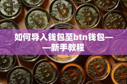 如何导入钱包至btn钱包——新手教程