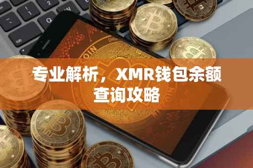 专业解析，XMR钱包余额查询攻略