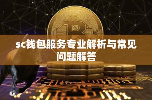 sc钱包服务专业解析与常见问题解答