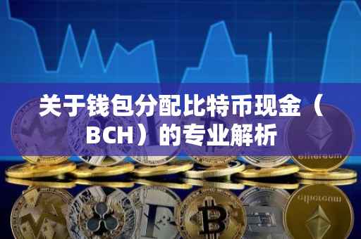 关于钱包分配比特币现金（BCH）的专业解析