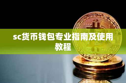 sc货币钱包专业指南及使用教程