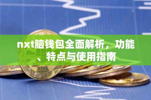 nxt脑钱包全面解析，功能、特点与使用指南