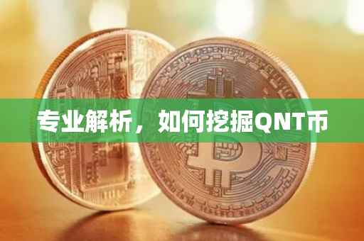 专业解析，如何挖掘QNT币