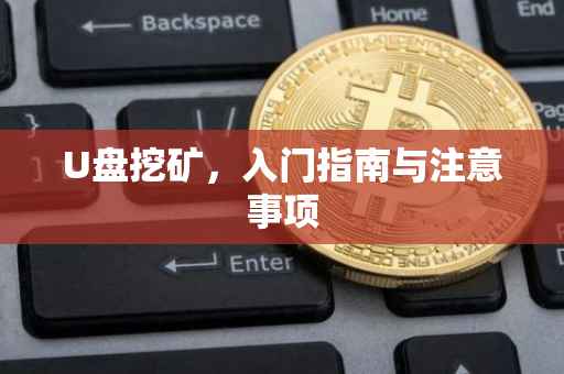 U盘挖矿，入门指南与注意事项