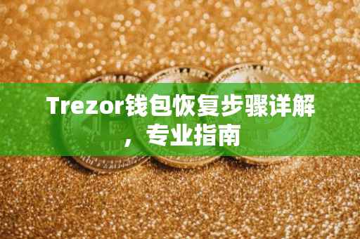 Trezor钱包恢复步骤详解，专业指南