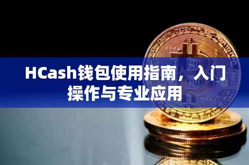 HCash钱包使用指南，入门操作与专业应用
