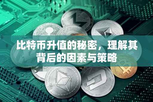比特币升值的秘密，理解其背后的因素与策略