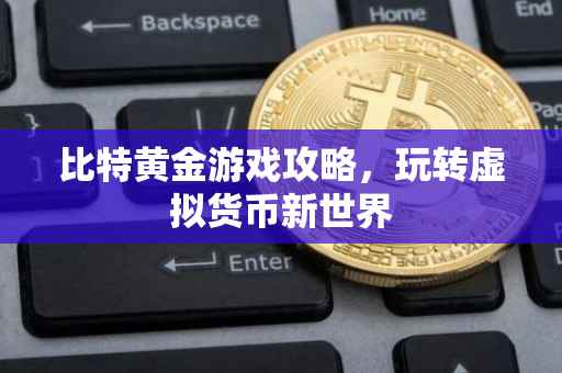 比特黄金游戏攻略，玩转虚拟货币新世界