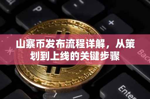 山寨币发布流程详解，从策划到上线的关键步骤