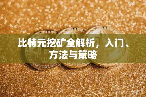 比特元挖矿全解析,入门、方法与策略