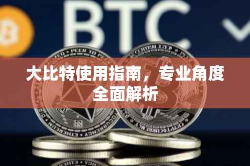 大比特使用指南，专业角度全面解析