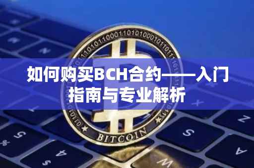 如何购买BCH合约——入门指南与专业解析