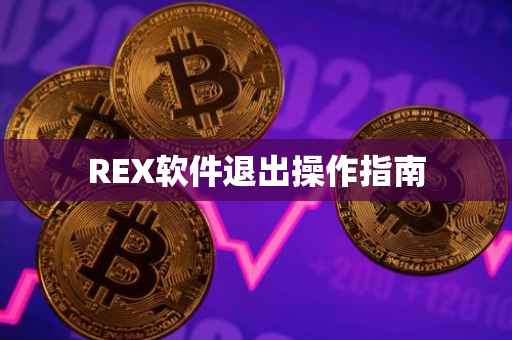 REX软件退出操作指南