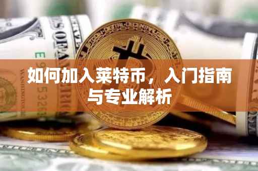 如何加入莱特币，入门指南与专业解析